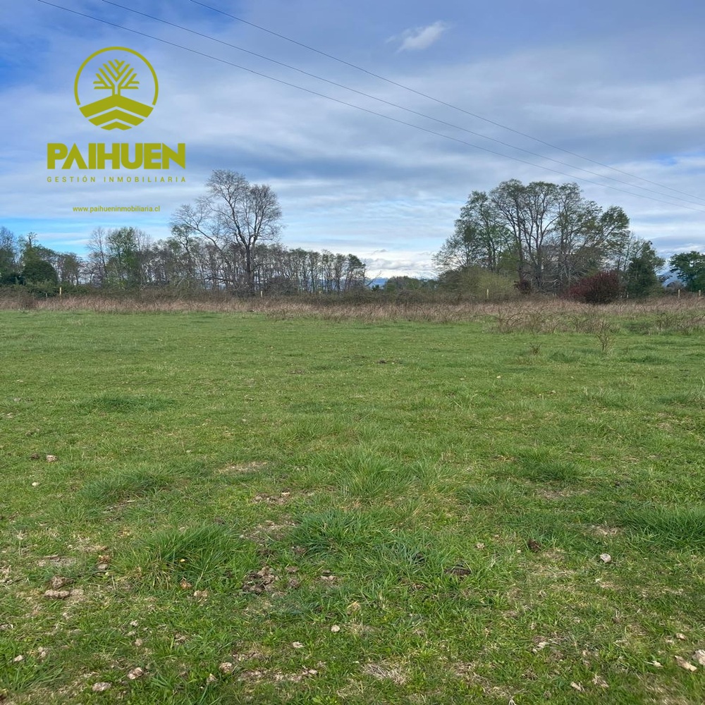 Amplia Parcela de 5.000 m² en Sector Conquil – Villarrica - Imagen 3