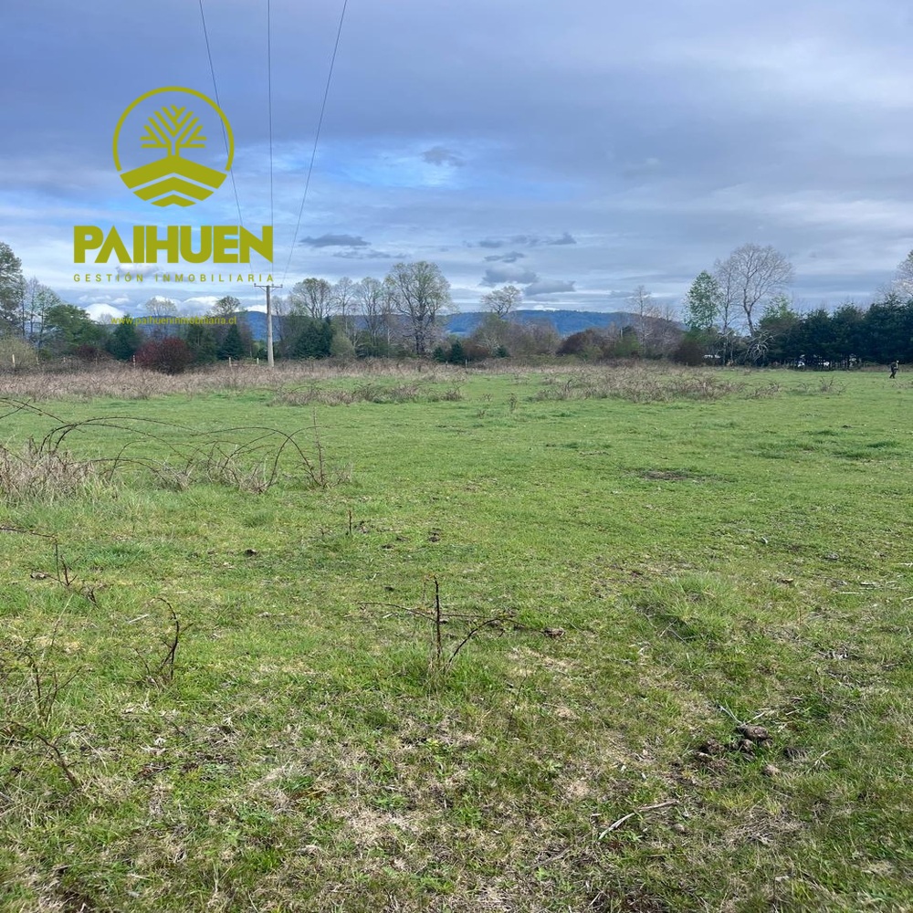 Amplia Parcela de 5.000 m² en Sector Conquil – Villarrica - Imagen 10