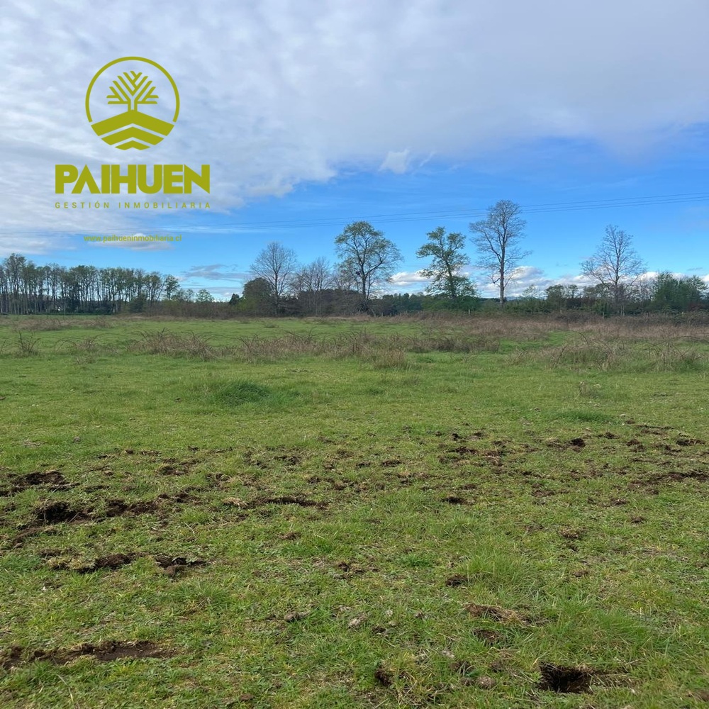 Amplia Parcela de 5.000 m² en Sector Conquil – Villarrica - Imagen 9