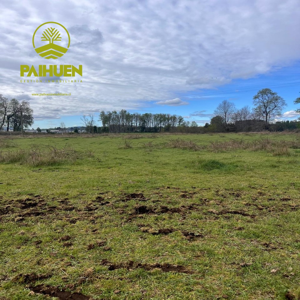 Amplia Parcela de 5.000 m² en Sector Conquil – Villarrica - Imagen 7