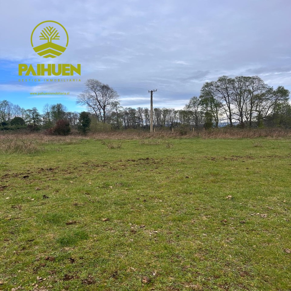 Amplia Parcela de 5.000 m² en Sector Conquil – Villarrica - Imagen 8