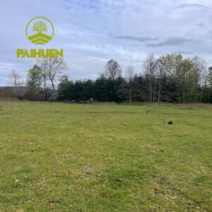 Amplia Parcela de 5.000 m² en Sector Conquil – Villarrica