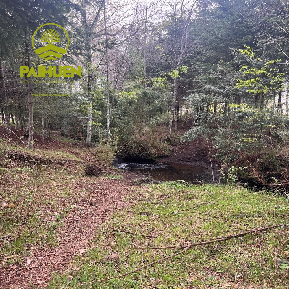 Amplia Parcela de 5.000 m² en Sector Conquil – Villarrica - Imagen 5