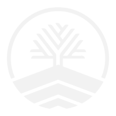 Favicon-Paihuen-claro-300-x-300